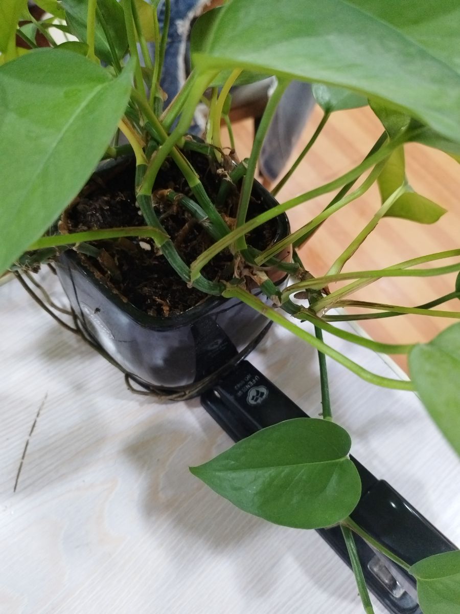 房屋出售