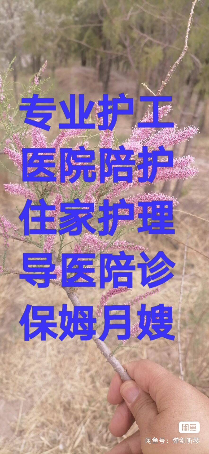 专业护工,金牌保姆