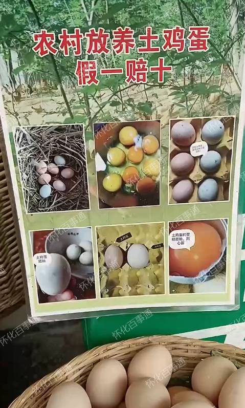 麻阳正宗放养土鸡蛋🥚每天都是新鲜的。