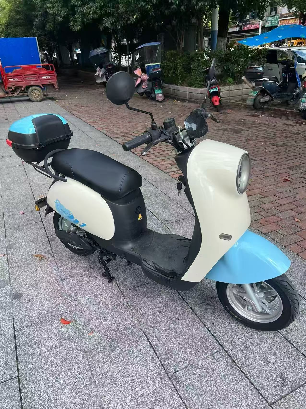 台铃72伏绿牌小龟王