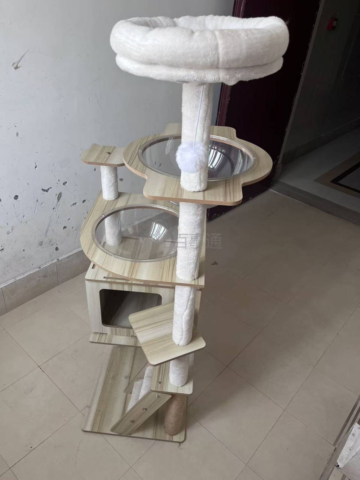 猫咪用品低价出