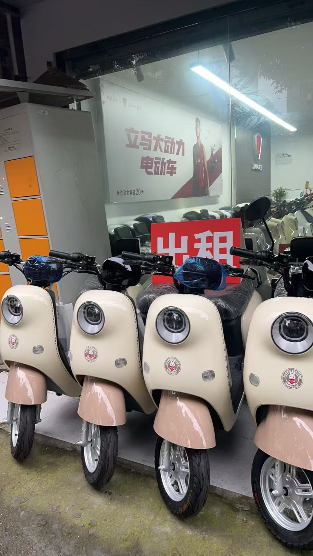 电动车出租!!