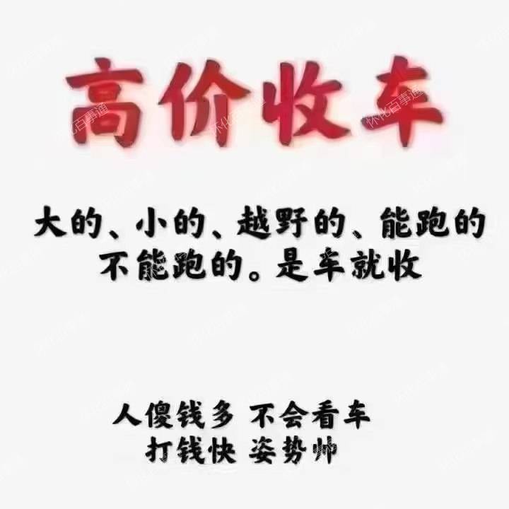 专业押车