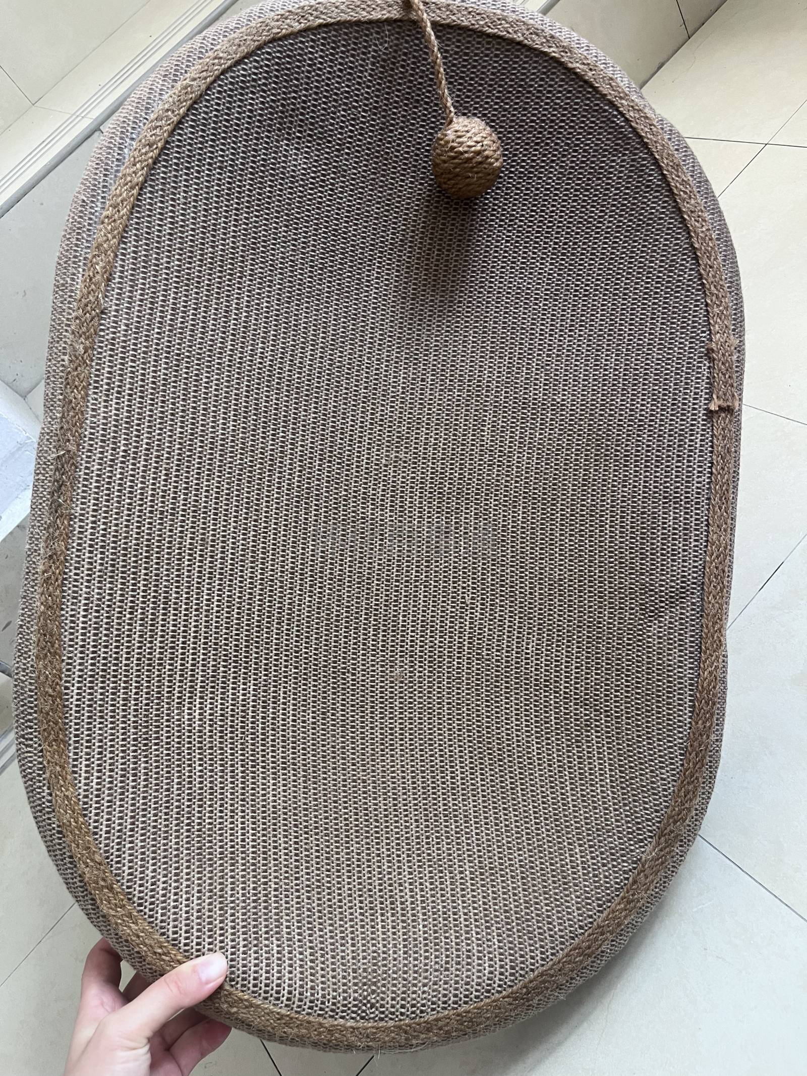 猫咪用品低价出