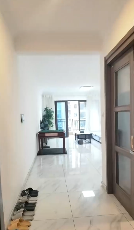 河西十里江湾，三房两厅