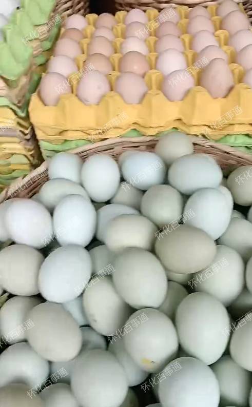 麻阳正宗放养土鸡蛋🥚每天都是新鲜的。