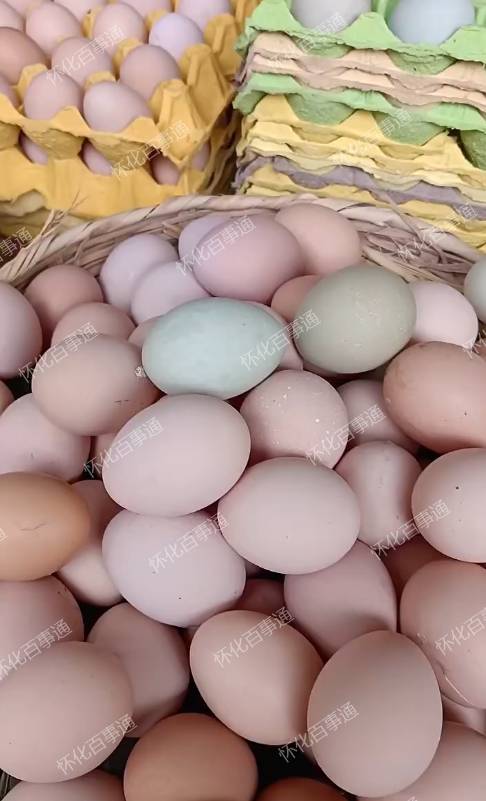 麻阳正宗放养土鸡蛋🥚每天都是新鲜的。