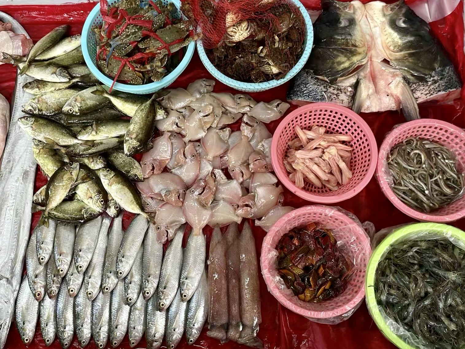 【饶平美食】黄冈三兴美食 新鲜海鲜小炒 地道潮汕口味