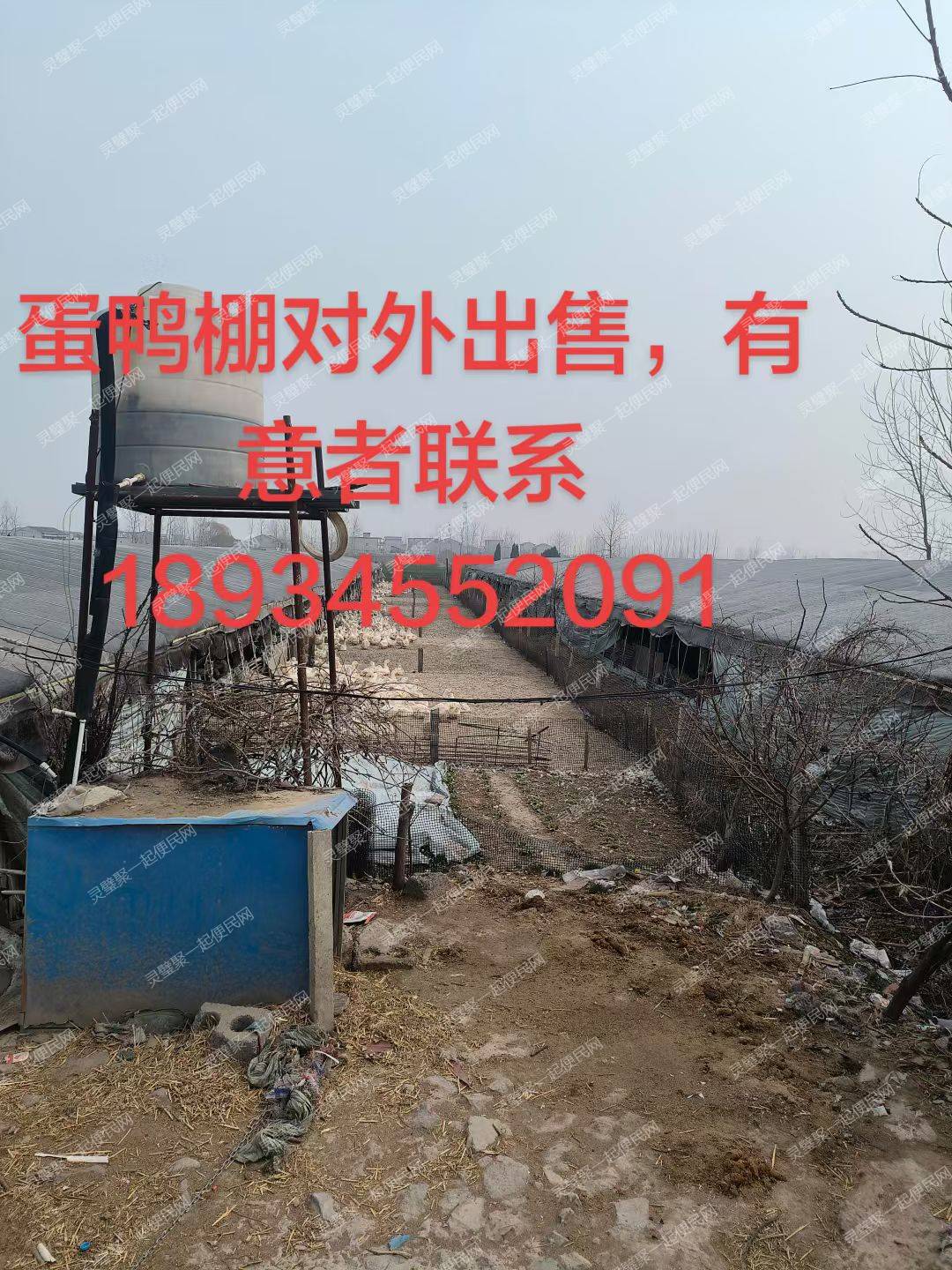 蛋鸭棚对外出租/出售