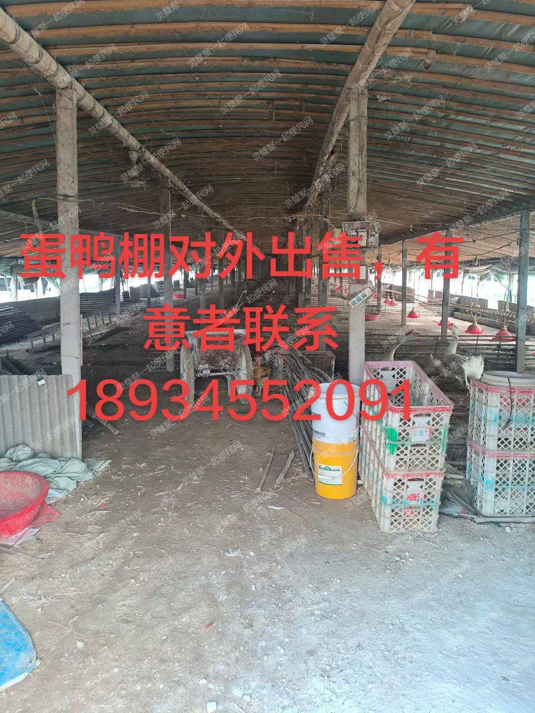 蛋鸭棚对外出租/出售