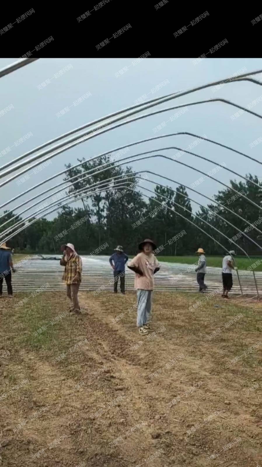 灵璧县渔沟睿博大棚定制，种植，养殖大棚，连栋温室大棚