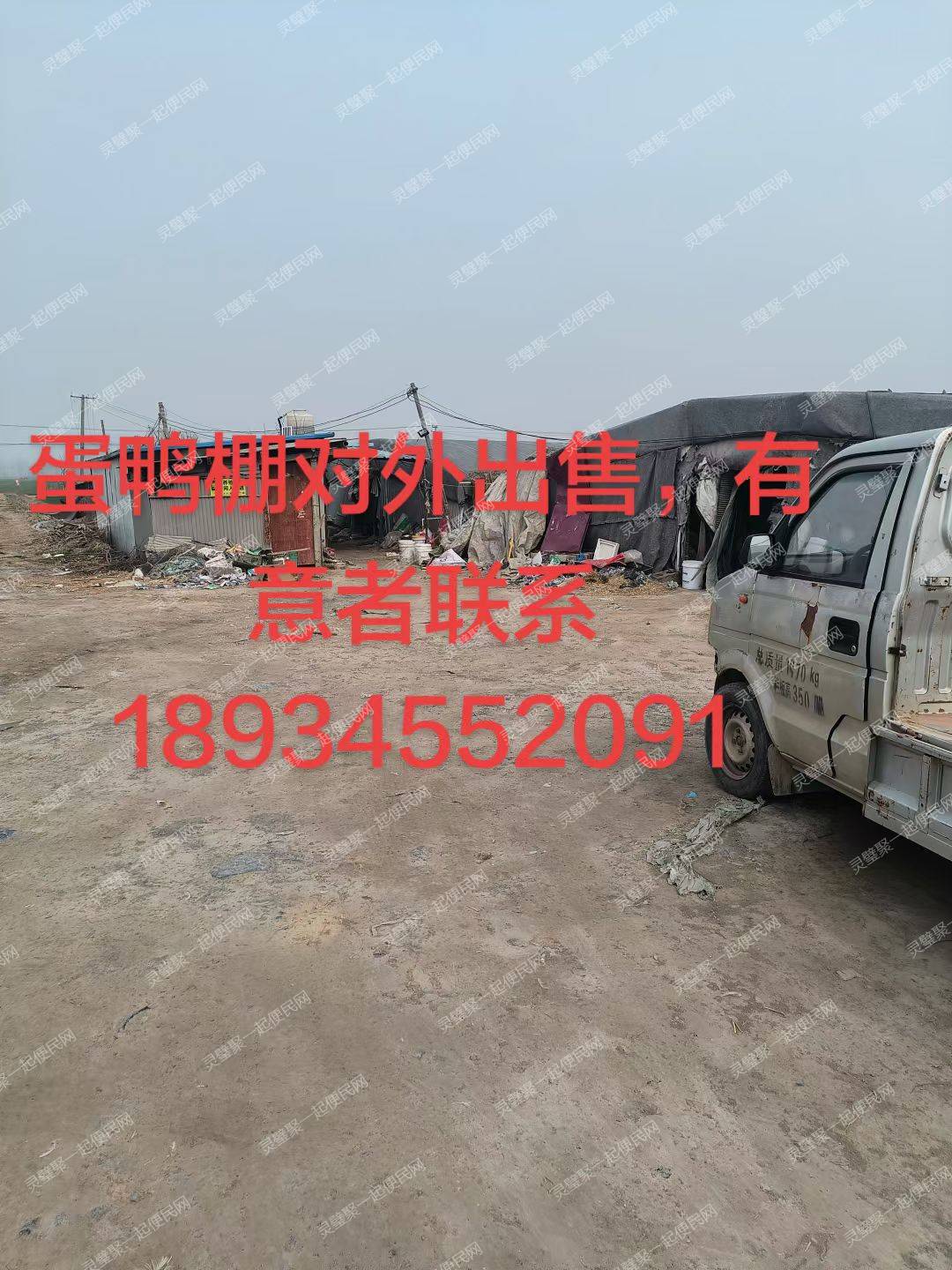 蛋鸭棚对外出租/出售