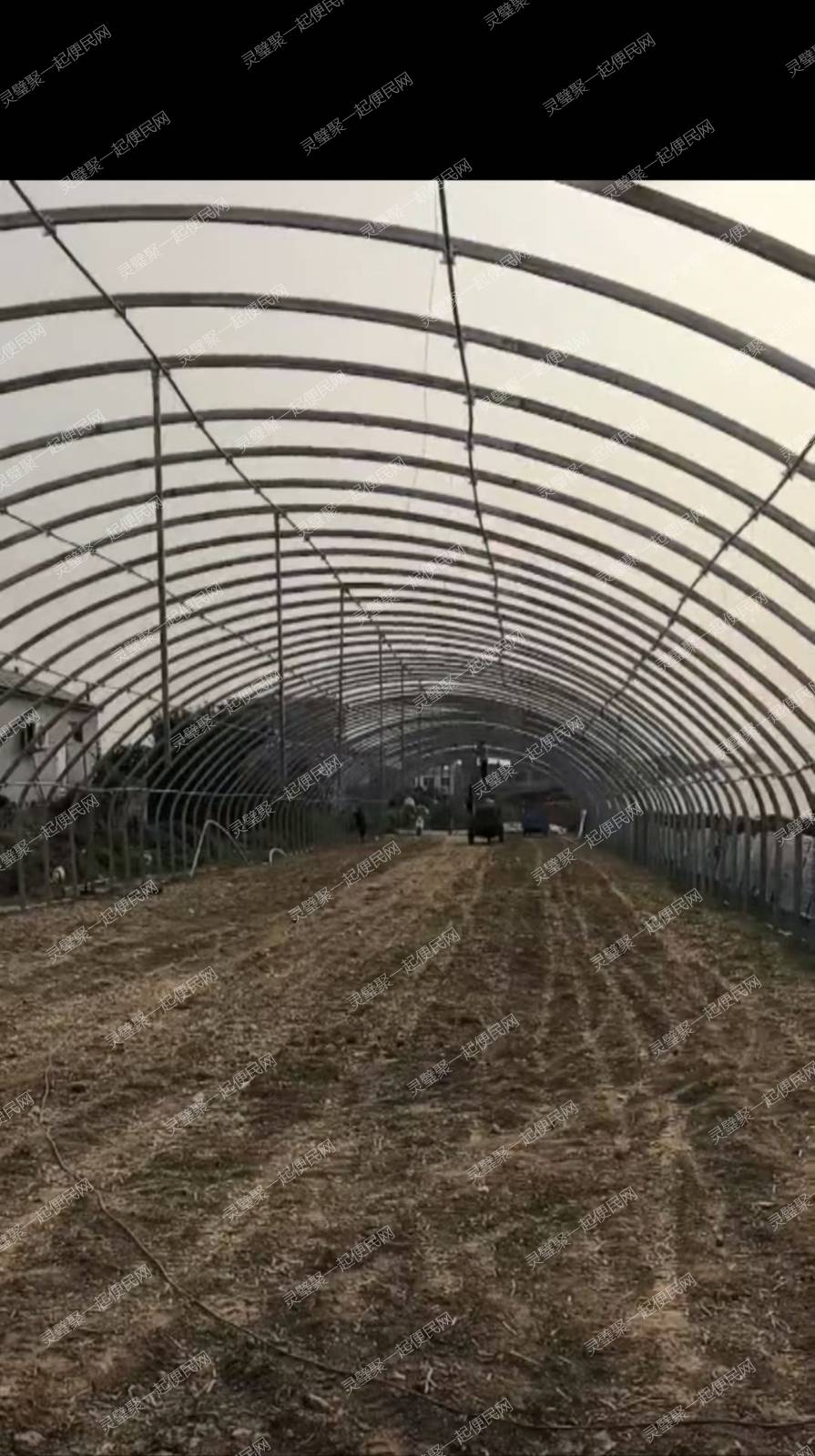 灵璧县渔沟睿博大棚定制，种植，养殖大棚，连栋温室大棚
