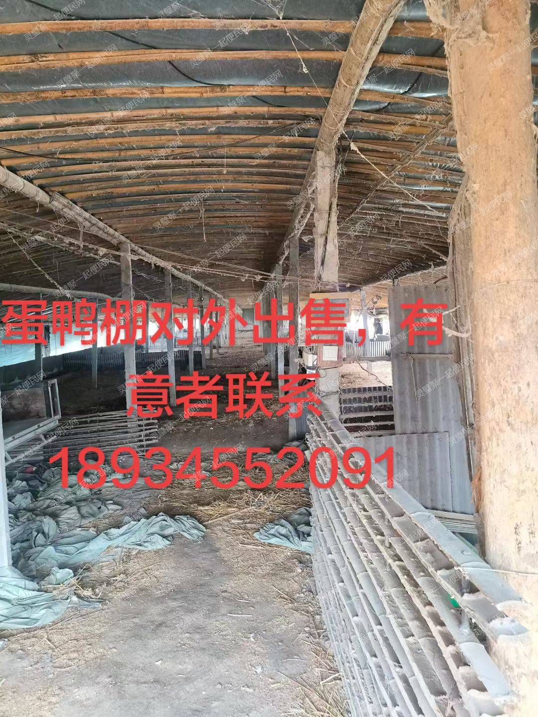 蛋鸭棚对外出租/出售