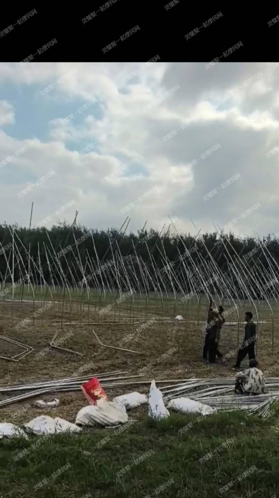 灵璧县渔沟睿博大棚定制，种植，养殖大棚，连栋温室大棚