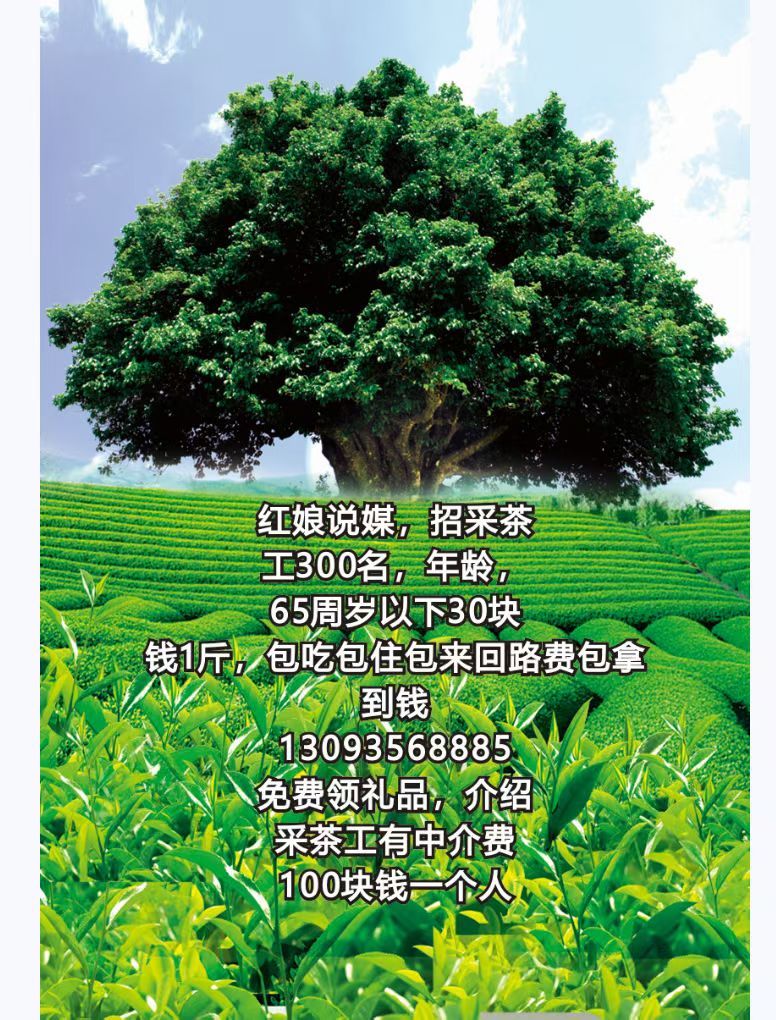 灵璧奥佳家政，上门，换，做，纱窗，纱门，开换锁，汽车锁，配汽车遥控钥匙换纱窗，安装，维修，晾衣架，安装水龙头，安裝馬桶，整改馬桶， 疏通下水道。开孔，砸墙安装维修，太阳能热水器，空调，安装，维修，销售...