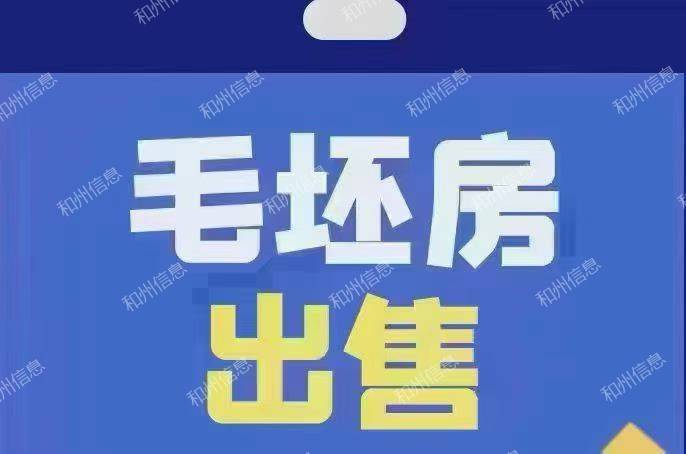 佳源中央城103平电梯好楼层毛坯，地下停车位车位43.6万