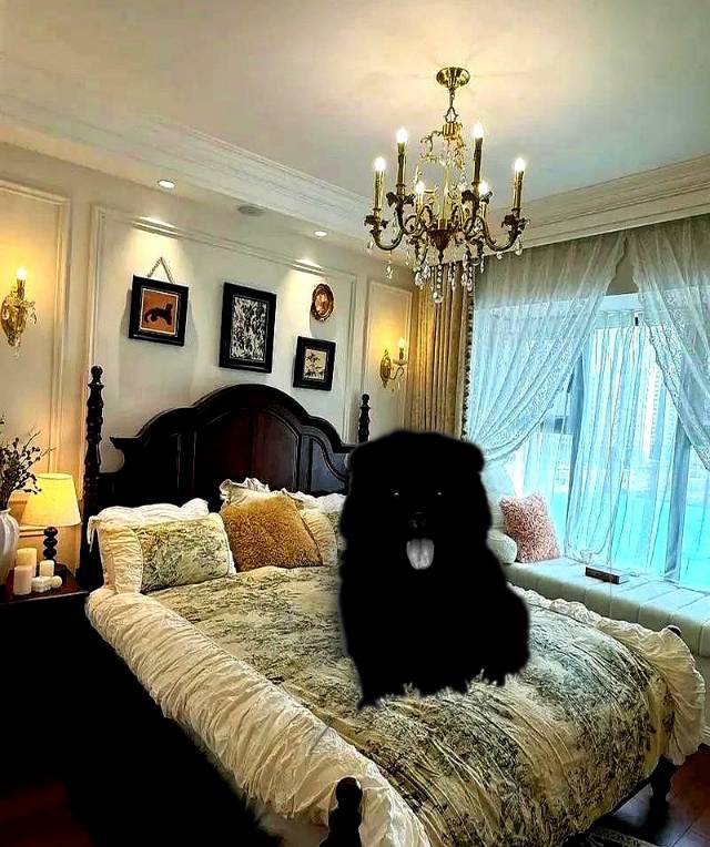 出售小狗