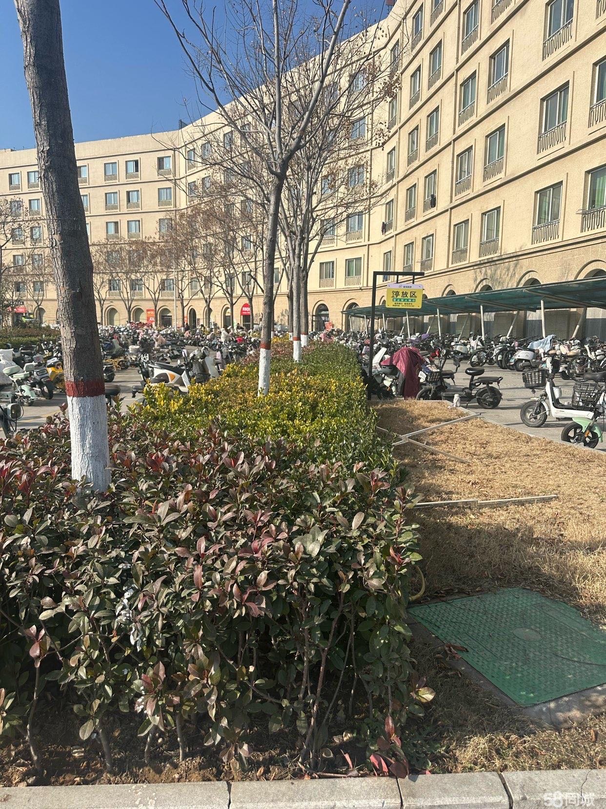 西亚斯校内伦敦街，120平方女装店低价转让，全新装修，链接宿