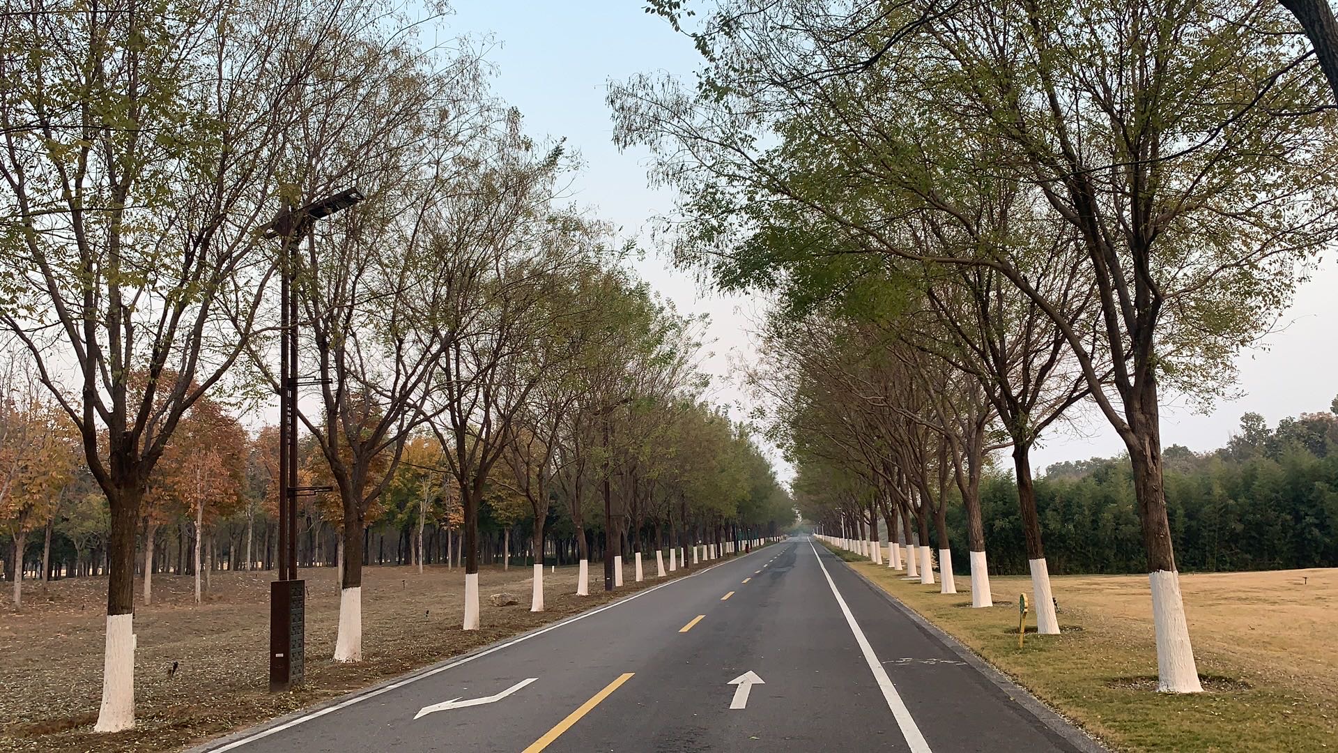 新郑市区，双小区门口**独家超市转让**