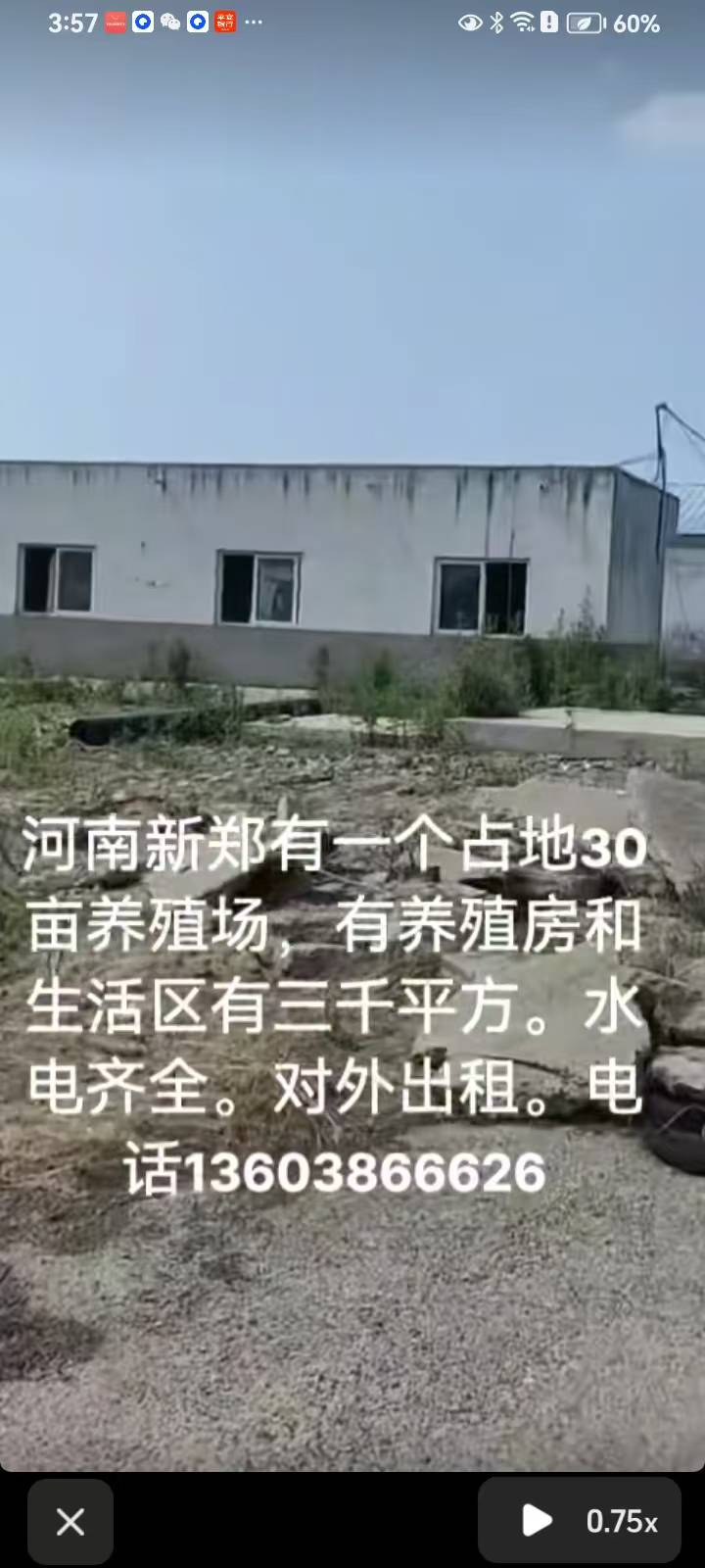 新郑新村镇养殖场出租,紧邻商登高速。