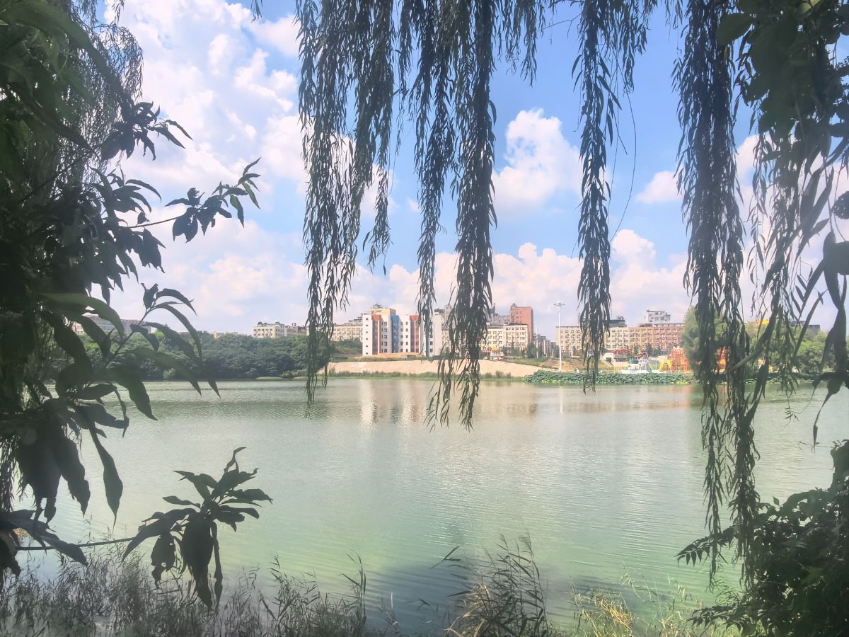 华南城片区湖景房四室毛坯配套齐全