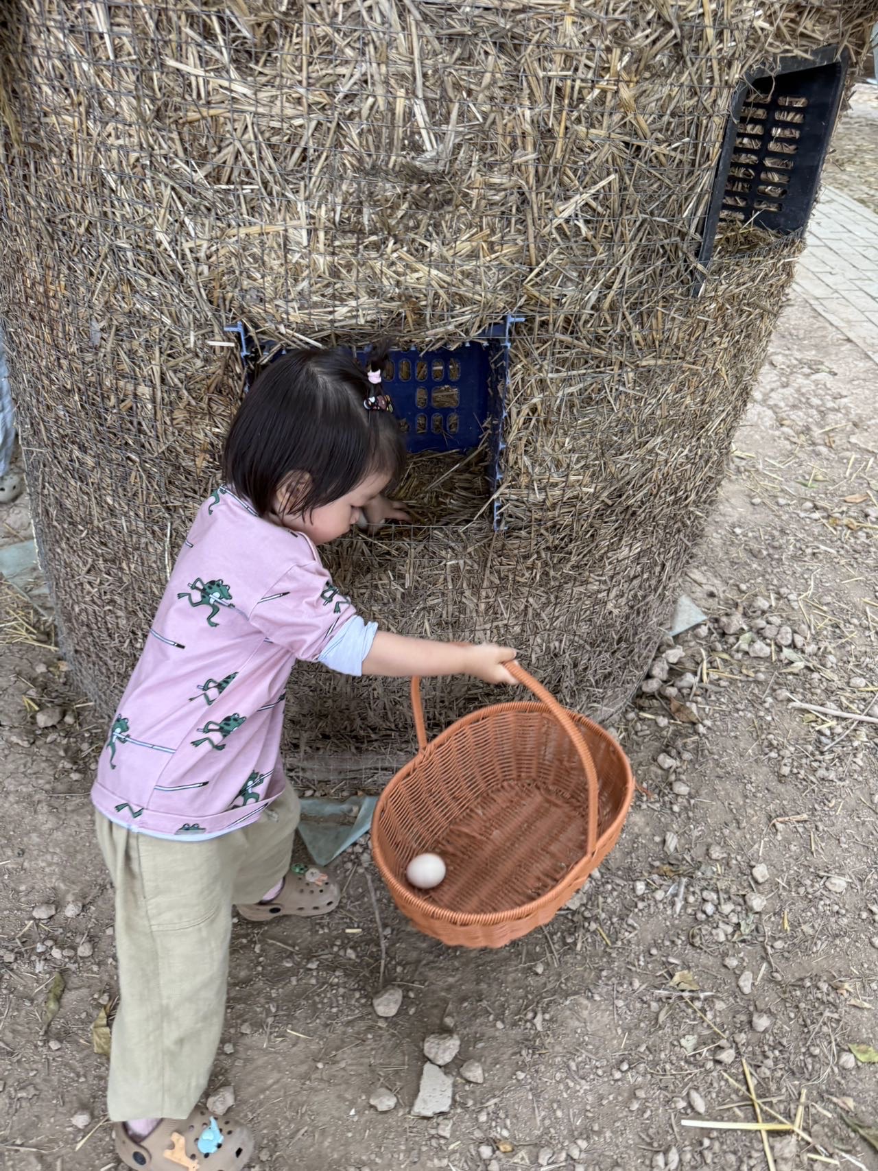 英文启蒙陪聊