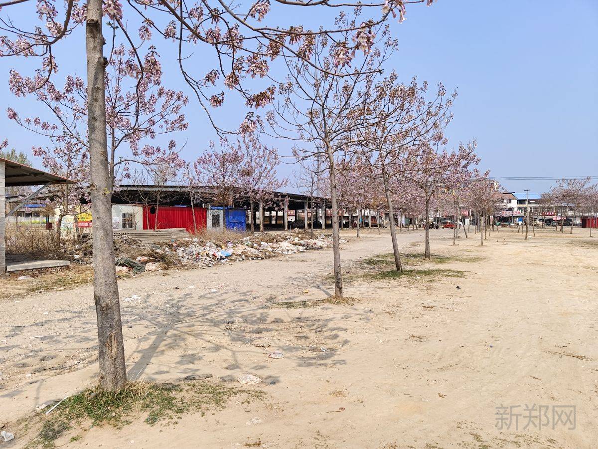 新郑火车站附近独院出租