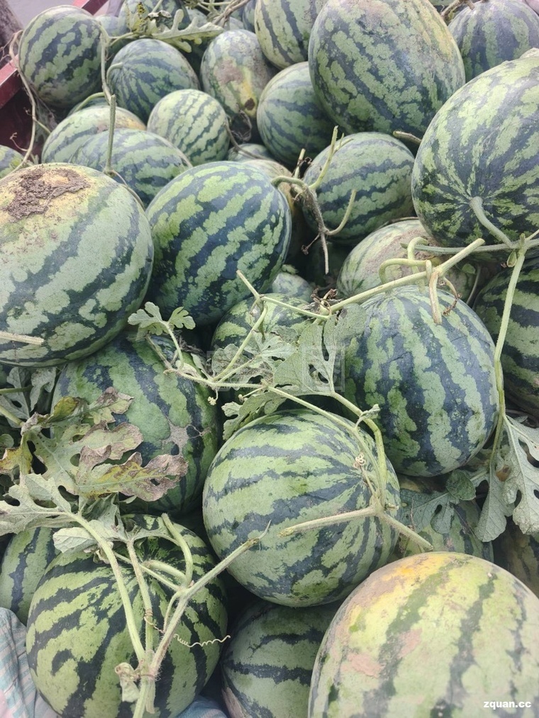 🍉​果园自己种的本地甜王西瓜