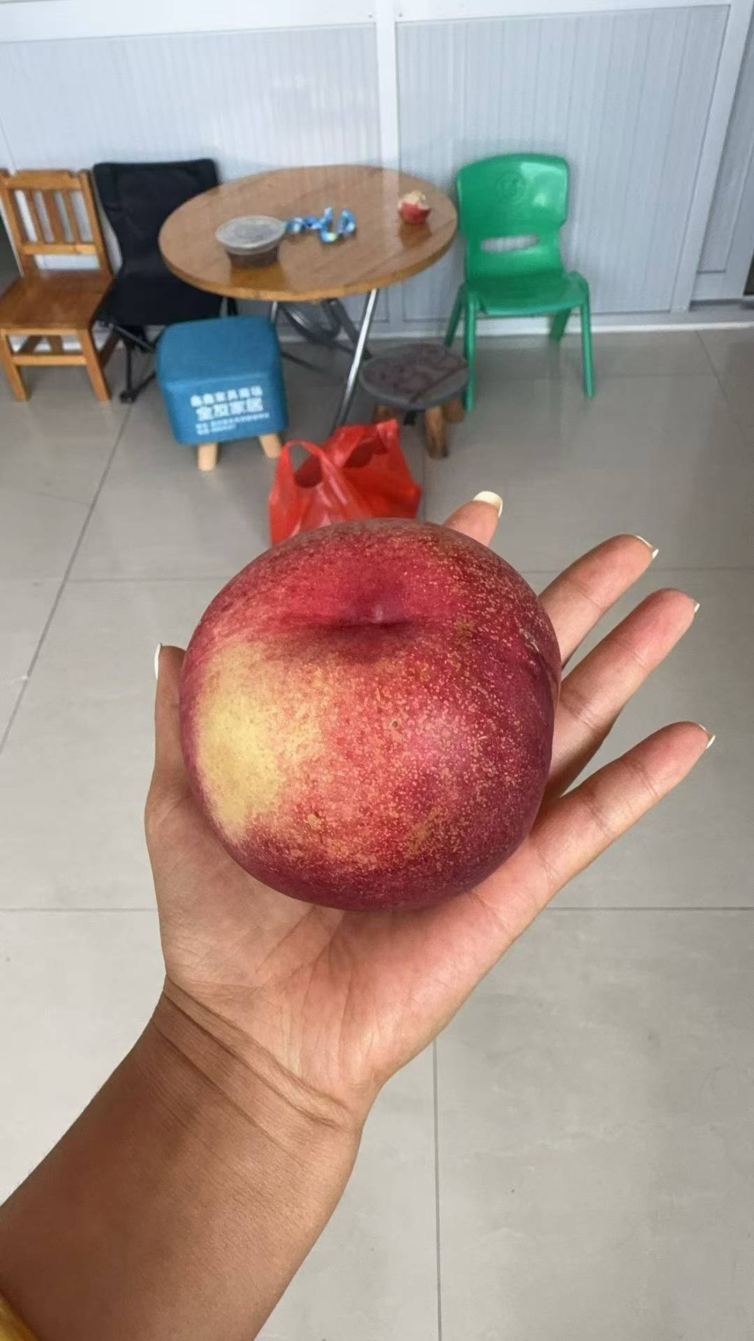 秋风起，桃子熟🍑 奔赴果园