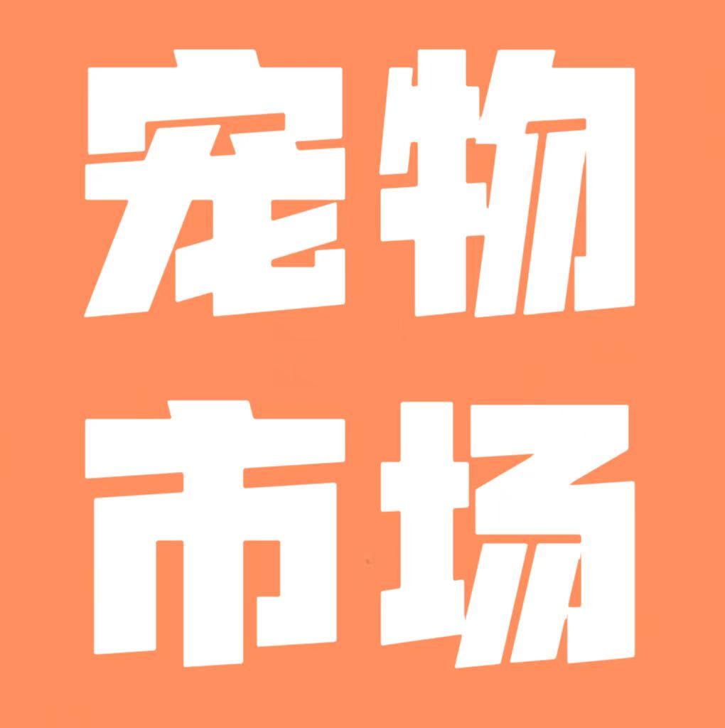 💝出售兔子