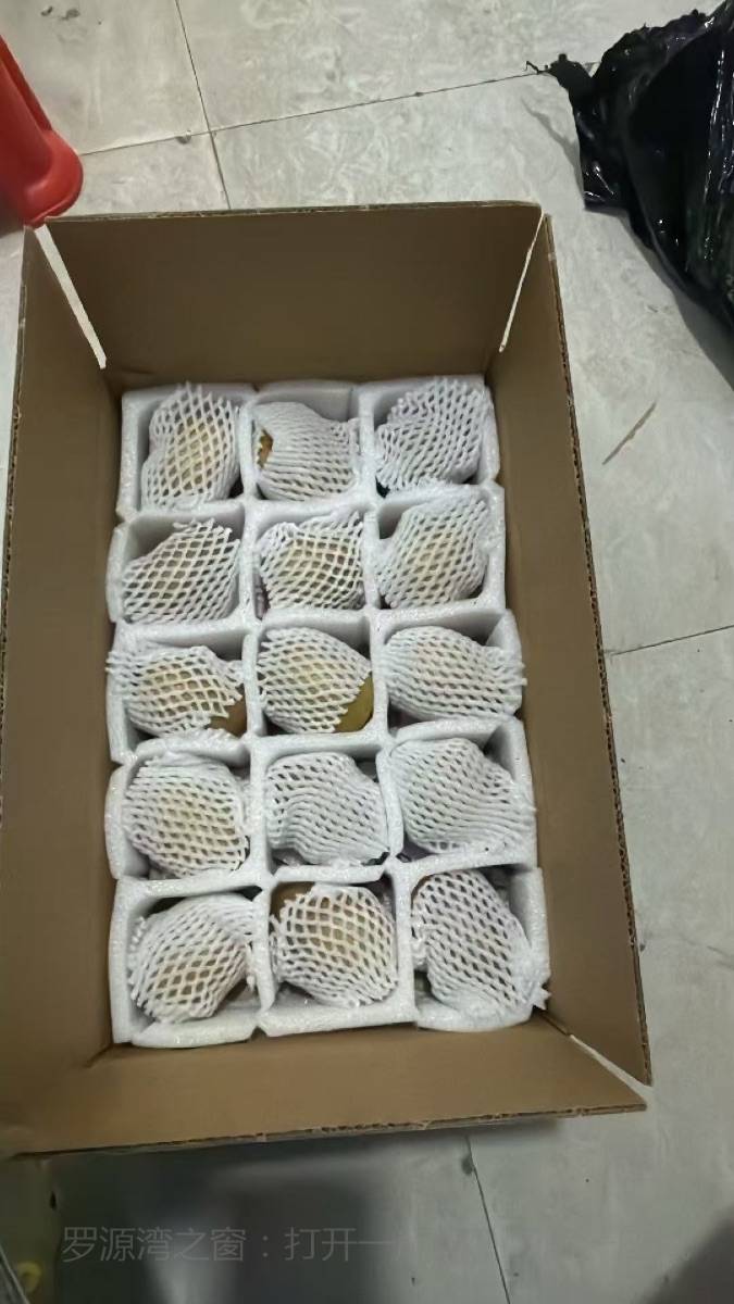 中房黄心奇异果