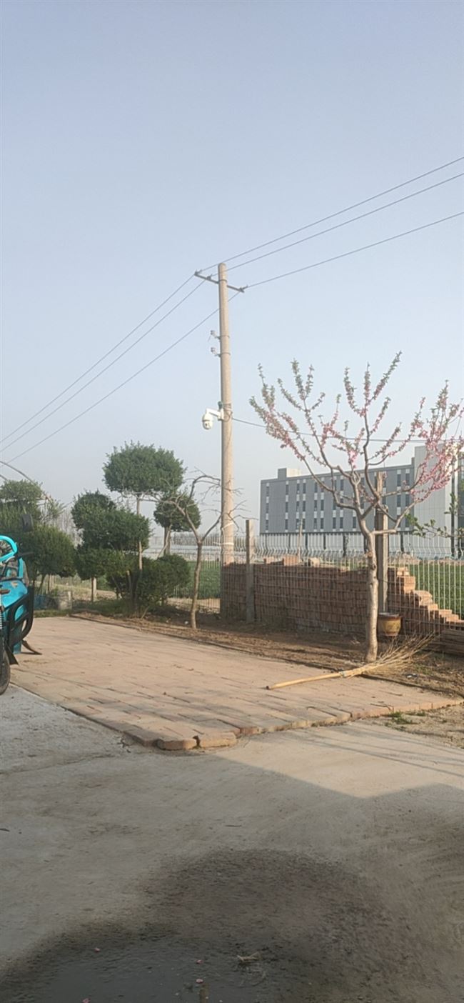 现有六亩大棚出租 ，已经形成规模 接受都能盈利 ，交通便利 水电齐全